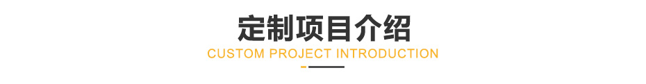 定制项目介绍.jpg